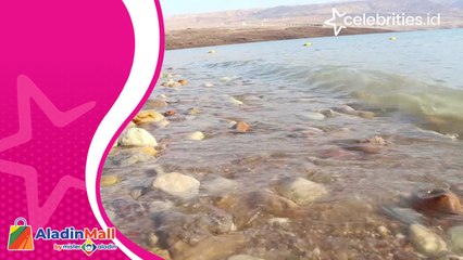 Berwisata ke Laut Mati Yordania, Berenang Tak akan Tengelam