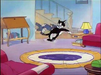 Tom & Jerry 07 Eger Van A Hazban