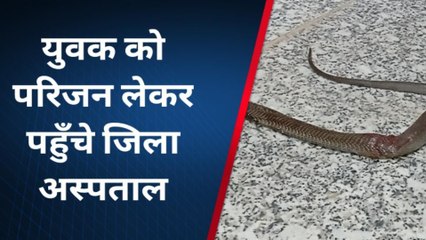 चूरू: घर में घुसे कोबरा साँप का रेस्क्यू करना युवक को पड़ा भारी ! देखिए क्या हुआ ऐसा ?