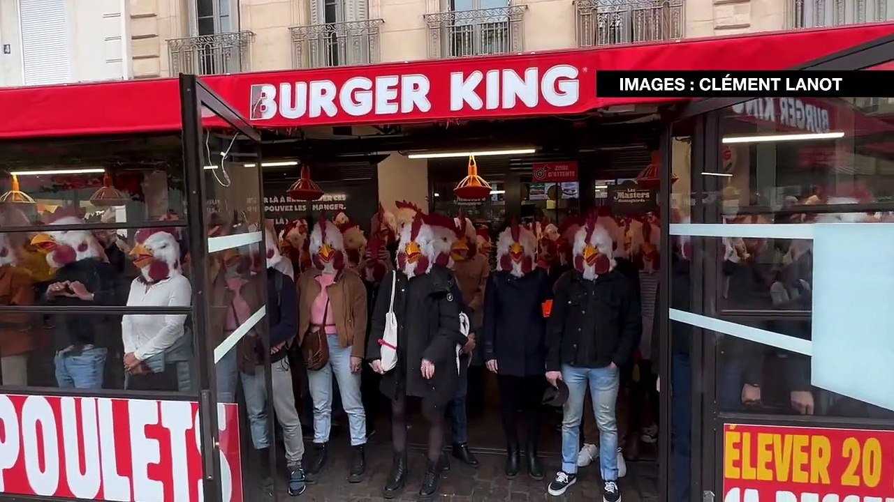 Des militants de L214 ont envahi un restaurant Burger King à Paris pour alerter sur les conditions de vie des poulets élevés en batterie
