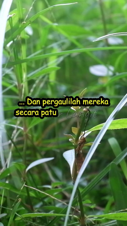Allah Menjadikan Kebaikan Yang Banyak