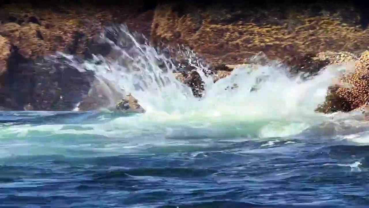 Tierisch gute Erziehung Staffel 1 Folge 2 - Part 02 HD Deutsch