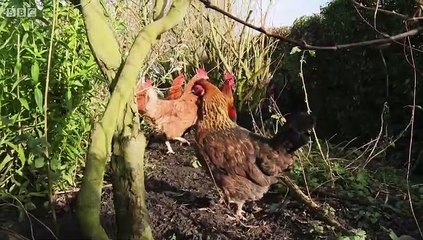 The Housing Enforcers S02E02
