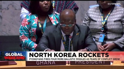 Latest news bulletin | November 5th – Evening