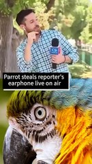 Gray News Today | Headlines of the day | Always with humor!