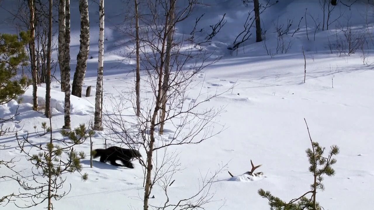 Eisige Welten Staffel 1 Folge 5 HD Deutsch