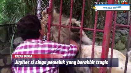 Hewan ini,hewan buas yang paling ingin dipeluk di dunia