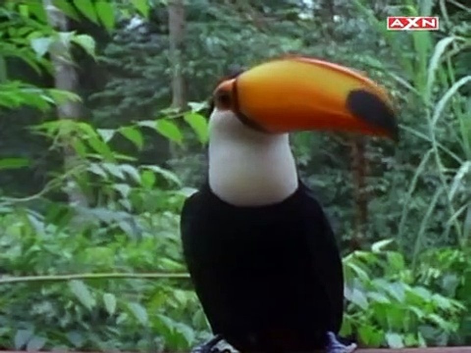 V.I.P. - Die Bodyguards Staffel 3 Folge 17 HD Deutsch