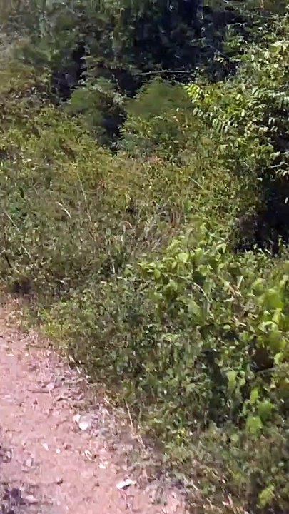 About Neer Sagar dam the lake in HubliDharwad HuBli FEsT dharwad hubli karnataka - HuBli FEsT