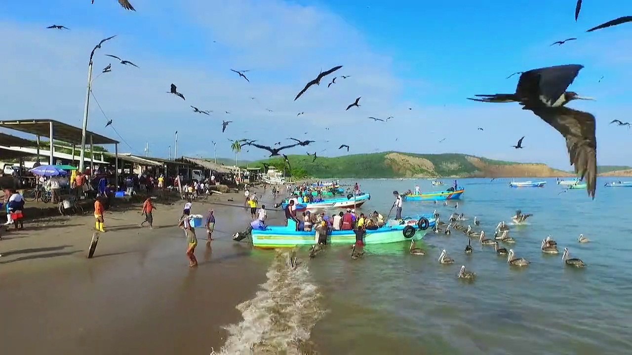 Spione im tierreich staffel 1 folge 4 hd deutsch