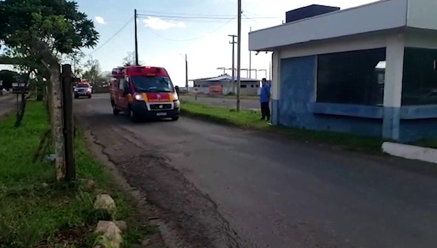 Sete pessoas precisam ser socorridas em ataque de abelhas às margens da BR-277