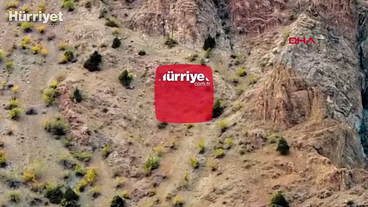 Yaban keçilerinin zorlu tırmanışları dron ile görüntülendi