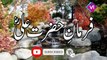 The Best Collection of Hazrat Ali's Sayings - Listen to Imam Ali's precious sayings