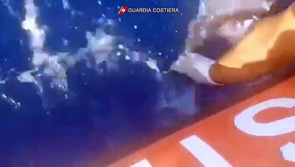 Controlli e... spettacolo a Milazzo, 20 esemplari di pescespada liberati in mare