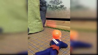 Cat Reaction to Playing Toy  Funny Cat Toy Reaction Compilation_1080p