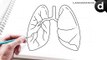 how to draw human organs lungs simple and easy