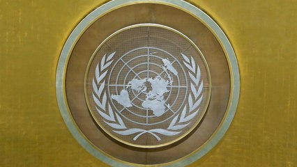 India says it has direct stake in return of peace, stability to Afghanistan