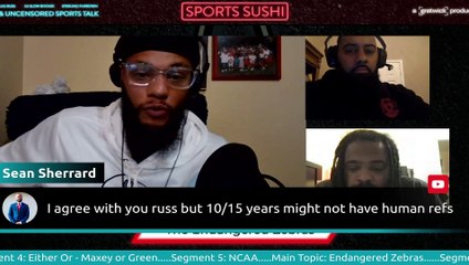 The Endangered Zebras (The Deterioration of Officiating in Sports)