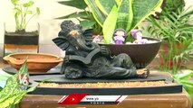 Public Showing Interest To Grow Indoor Plants |  V6 Life (1)