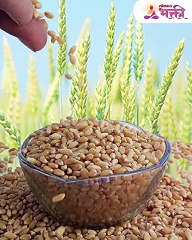 फक्त ही एक गोष्ट पिठात मिसळली तर बनाल करोडपती -