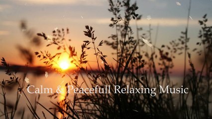 Calm and Peacefull Relaxing Music