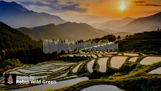 Backsound music gamelan | padhang | No copyright - Robin Wild Green