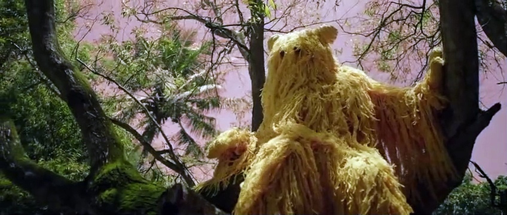 TULUS  HatiHati di Jalan