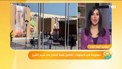 معلومة في كبسولة.. تفاصيل قمة المناخ في شرم الشيخ