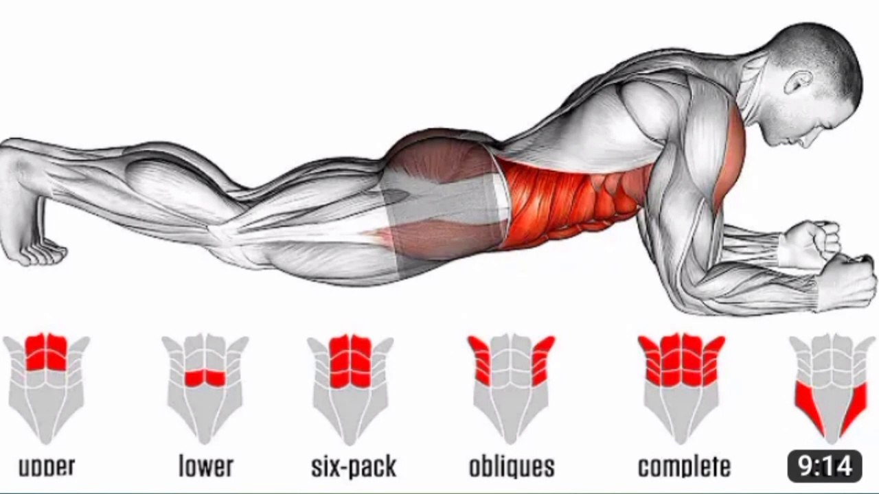 10 minutes plank position _  stomach slim workout _ workout from home _ All videos