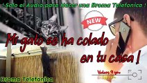 Audio para hacer Bromas Telefonicas - Mi Gato se ha colado en tu casa !