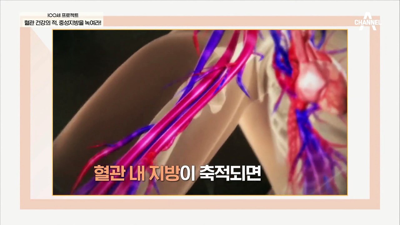 뇌졸중까지 발생시키는 혈액 속 지방! ▶중성지방 위험군 자가 진단법◀