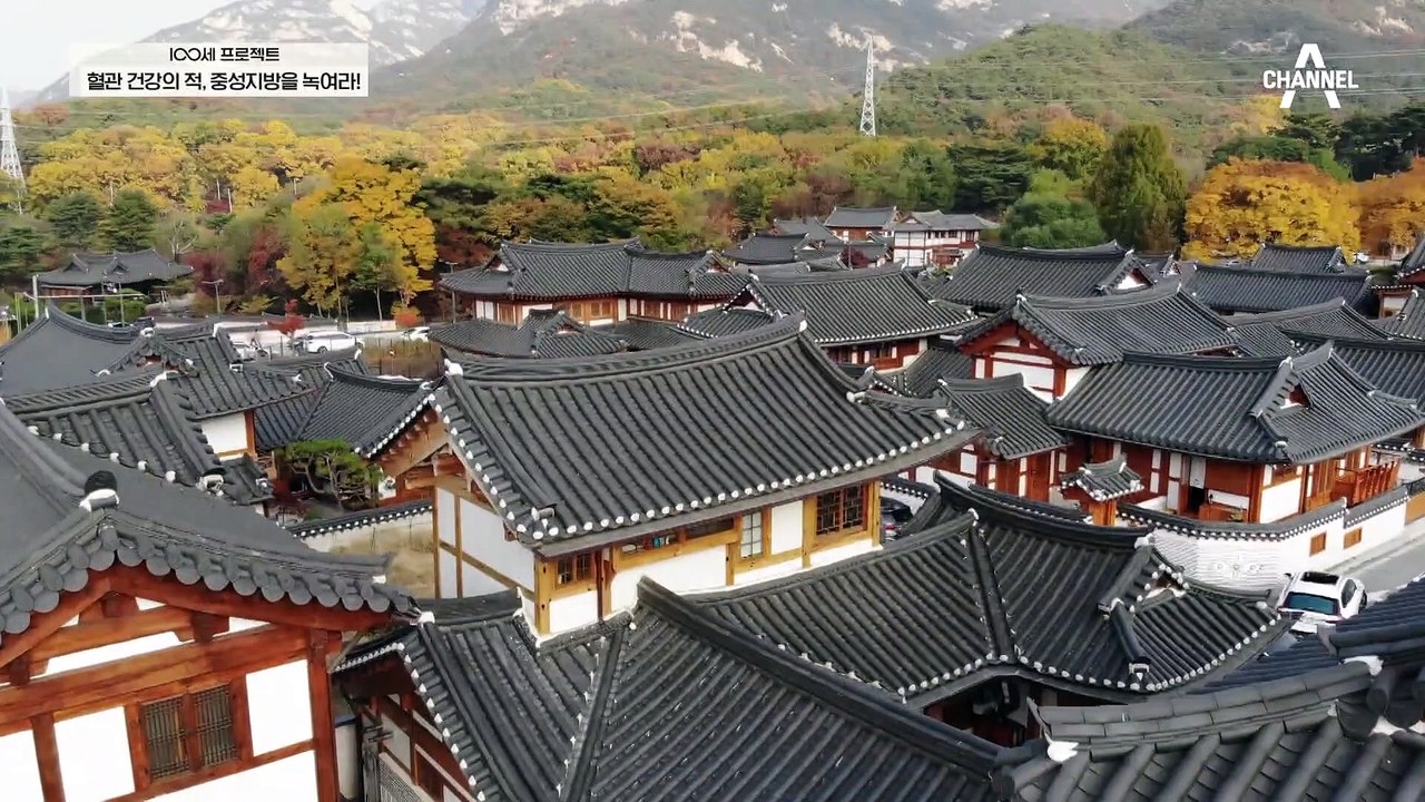 '침묵의 살인자' 혈관 질환! 혈관 속의 지방을 녹이는 중성지방 개선 유산균