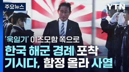 '욱일기' 이즈모함서 관함식 사열...한국 해군 경례 / YTN