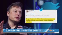 What Do Elon Musk’s Twitter Layoffs Mean For The Platform’s Future