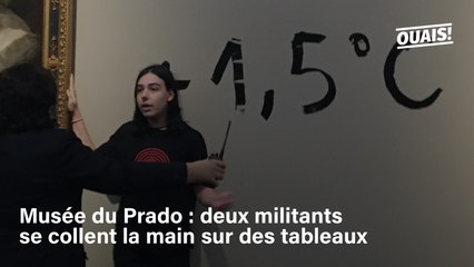 Des activistes écologistes se collent la main à deux tableaux de Goya exposés au Prado
