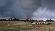 مقاطع فيديو مرعبة توثق تدمير الأعاصير للمنازل في تكساس وأوكلاهوما