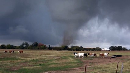 مقاطع فيديو مرعبة توثق تدمير الأعاصير للمنازل في تكساس وأوكلاهوما