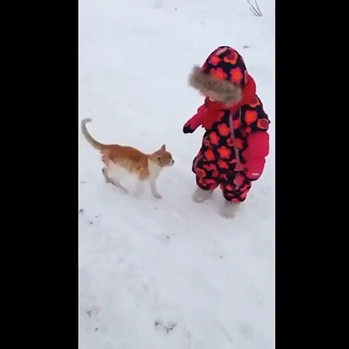 Funnycat