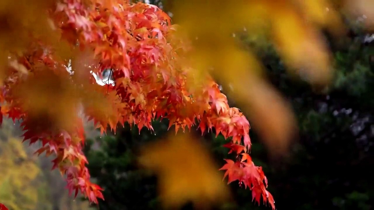 Mission Declassified - Se1 - Ep03 - The Lindbergh Kidnapping HD Watch HD Deutsch