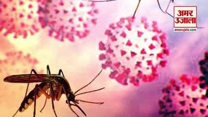 क्या आपको भी अधिक काटते हैं मच्छर? वैज्ञानिकों ने पता लगा लिया इसका कारण, ये हैं दो वजहें