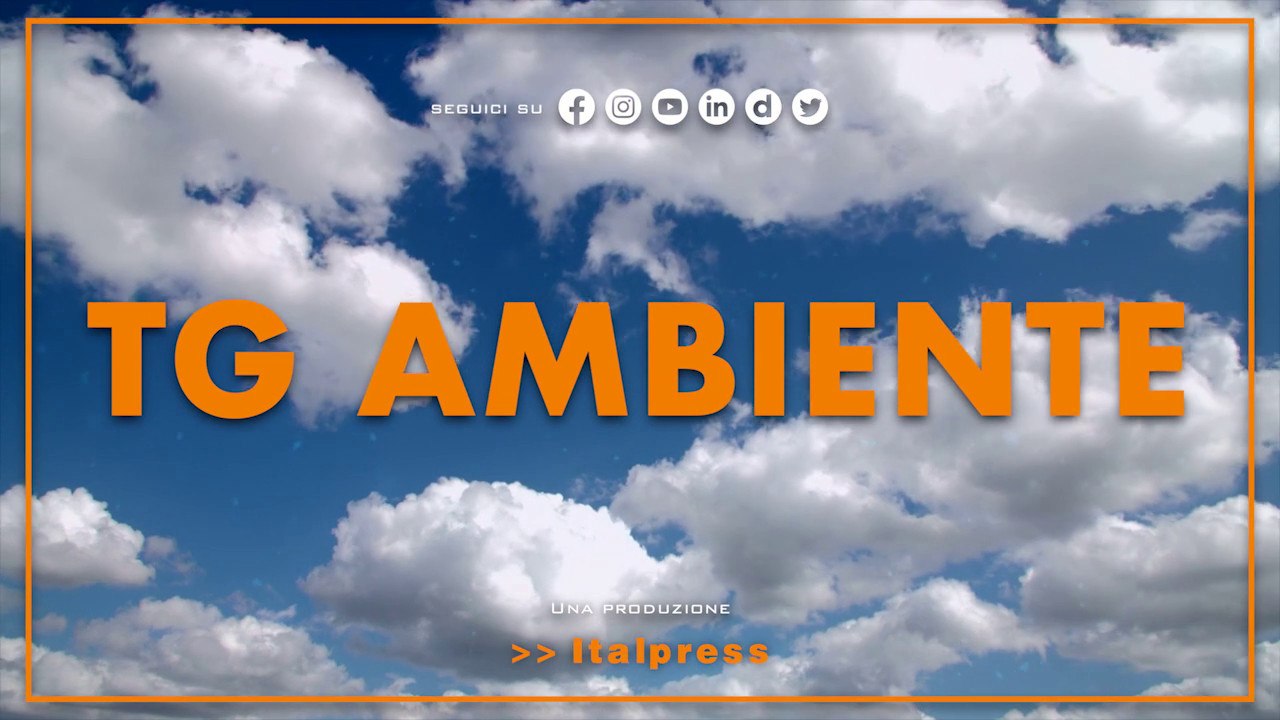 Tg Ambiente - 6/11/2022