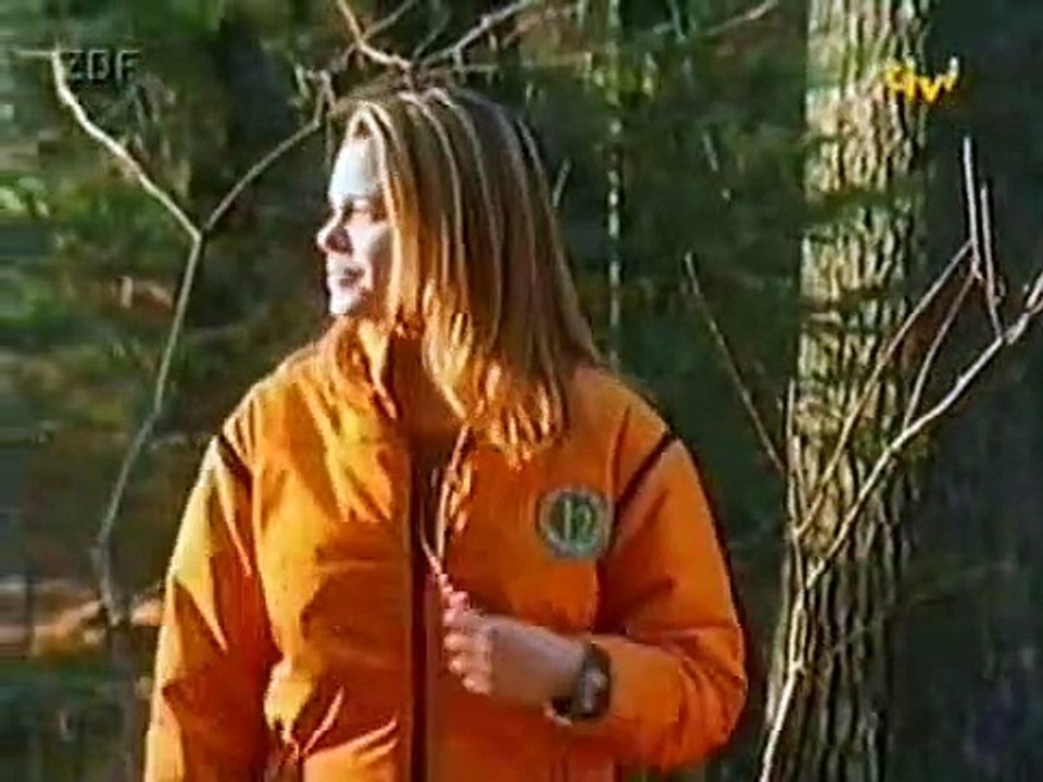 Zurück nach Sherwood Forest Staffel 1 Folge 1 HD Deutsch