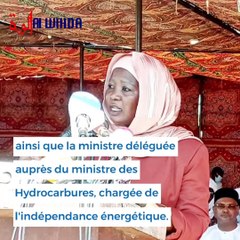 Tchad : la centrale hybride de Mongo inaugurée, un premier pas pour les provinces