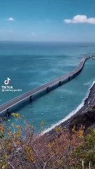 Ils sautent depuis la NRL : version longue !