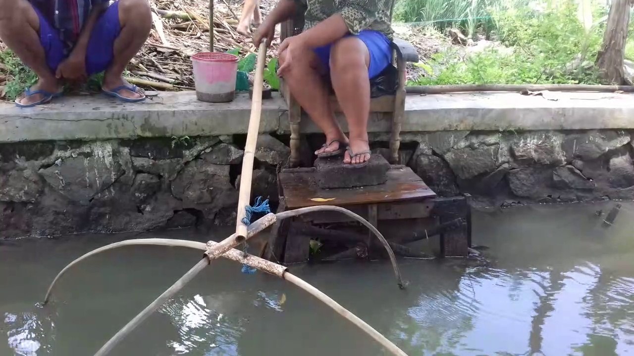 Trapping fish