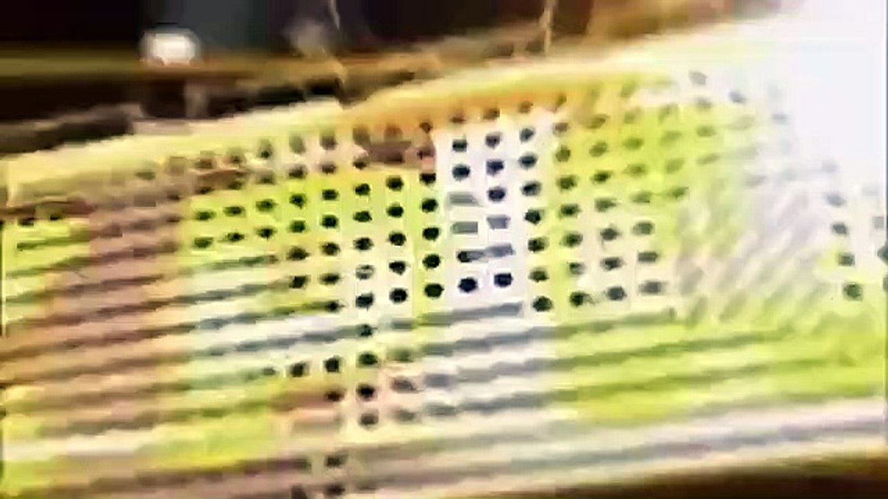 Celebrity Name Game - Se1 - Ep11 HD Watch HD Deutsch