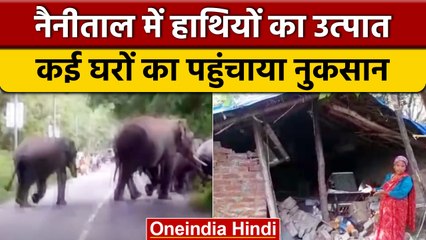 Nainital के Kaladhungi में हाथियों के झुंड ने कई घरों में की तोड़फोड़ | वनइंडिया हिंदी *News