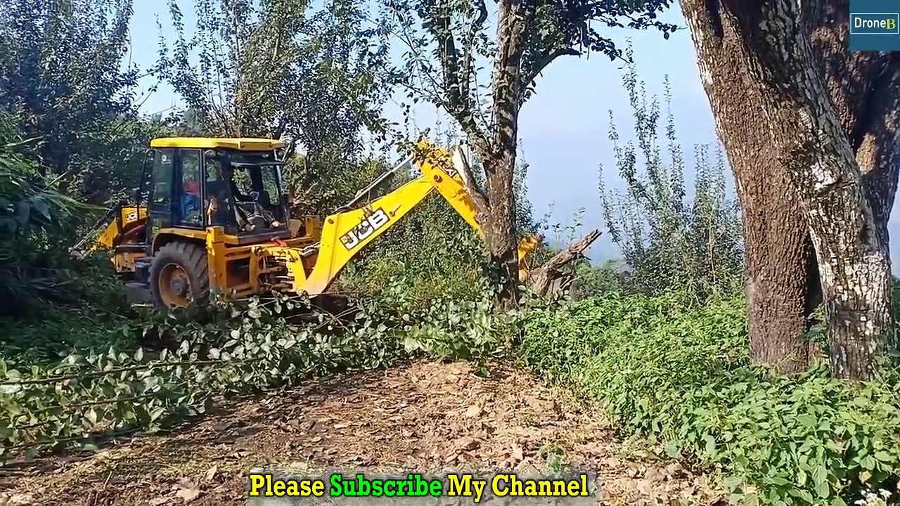 JCB Backhoe Helping-PLUCKING NUT-BREAKING TREE