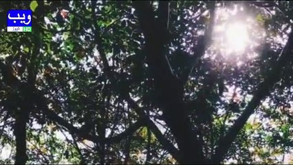 Raat Ko Late Sone Wale Afrad Ke Zehan Per Kya Asar Parta HAi I Nai Tahqeeq Samne Agay