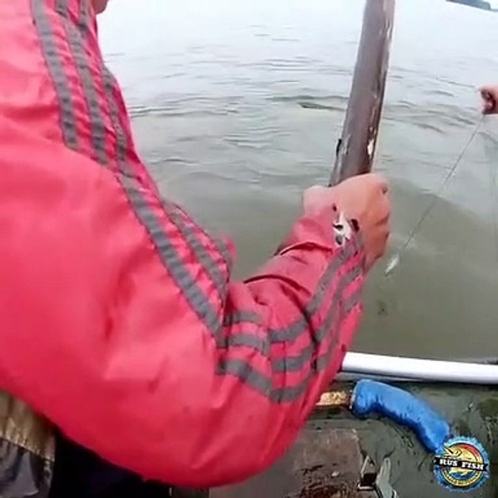Ce pêcheur donne tout pour attraper son poisson...